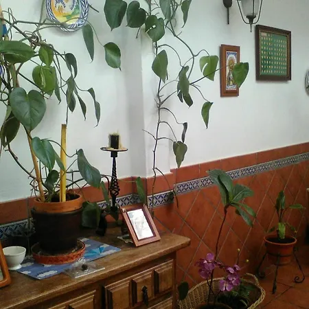 House With 3 Bedrooms In Sevilla, With Wonderful View And Wifi Seville
